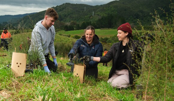 Volunteers at a planting day kneel on the grass to plant seedlings