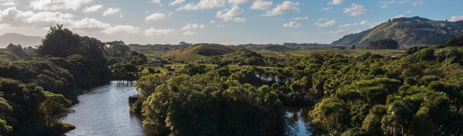 Wetlands at Queen Elizabeth Park