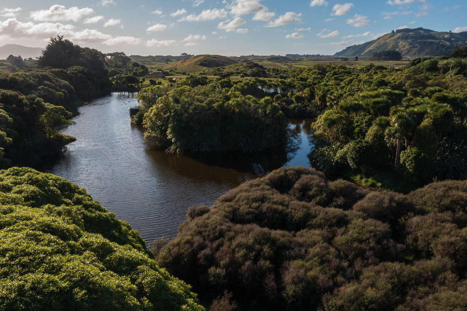 Wetlands at Queen Elizabeth Park