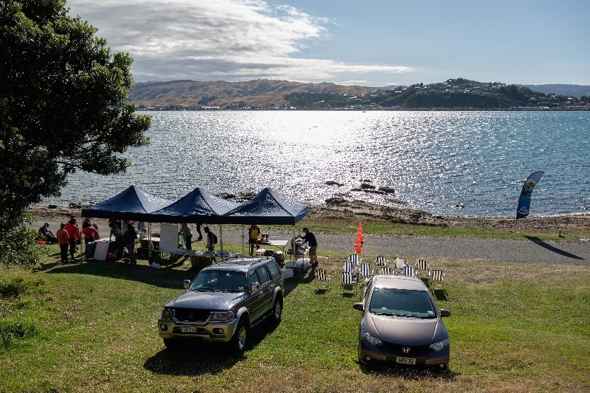 A view of the shore at Whitireia Park