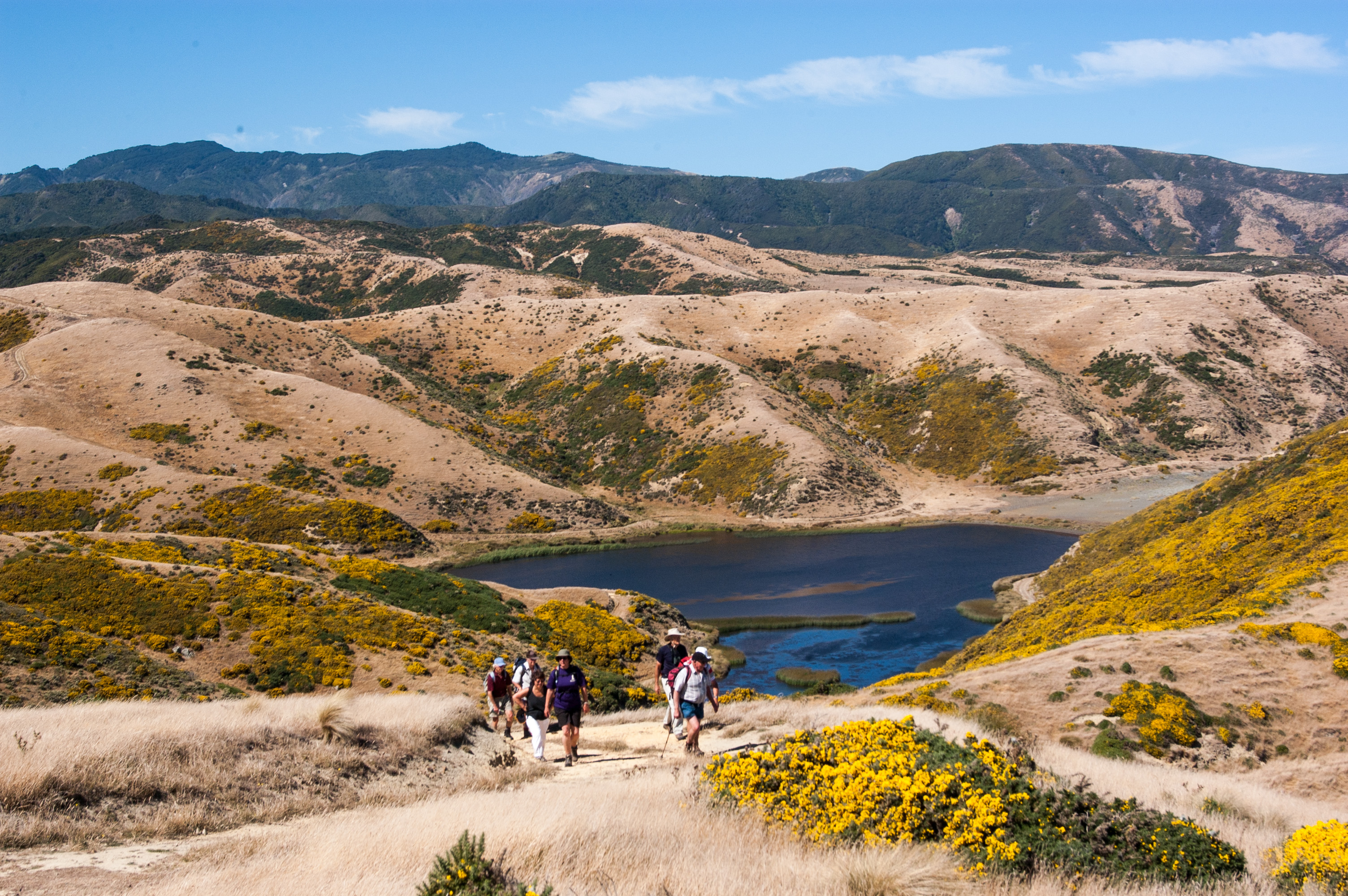 A small group walk up a trail in East Harbour Regional Park