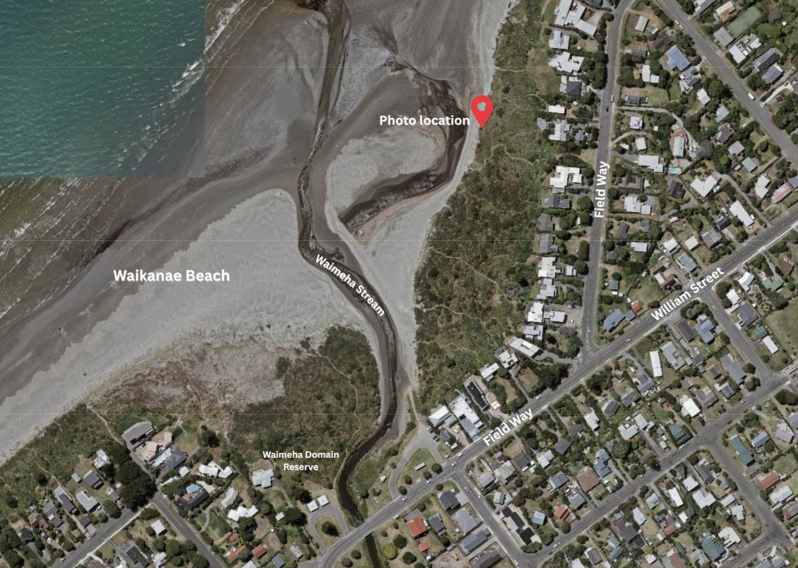 A satellite map showing the coastline at Waikanae Beach. The sandy beach and tidal area are on the left, while vegetated dunes and residential properties are on the right. A red map pin labelled ‘Photo location’ is placed on a path near the edge of the dunes. Nearby street text labels include ‘Field Way’ on the right side of the image. 