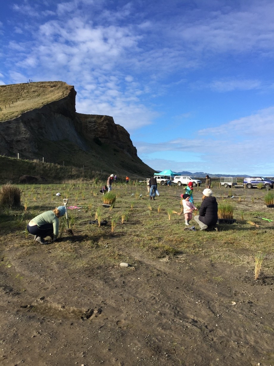 South Wairarapa Biodiversity Group planting day