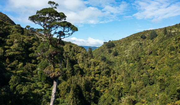 Birchville dam akatarawa park DJI 0660