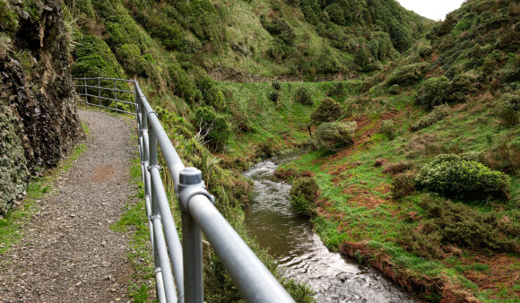 A view of the stream and landscape from Korokoro Stream track in Belmont Park