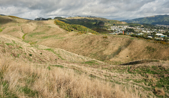 The hills of Belmont Park, dotted with new saplings from a planting day