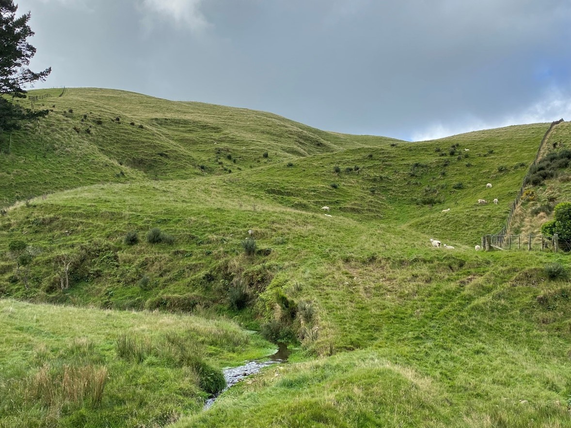 Waterway beside Hill Road