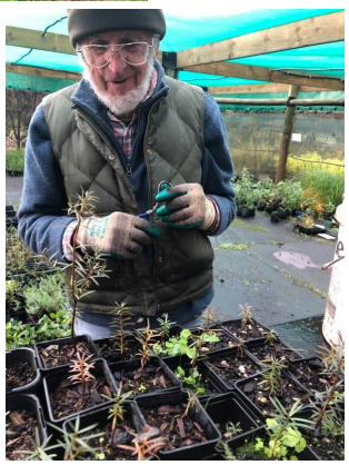 A man stands in front of a table of seedlings in a plant nursery