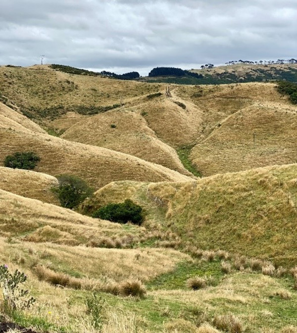 View into valleys in Belmont Park