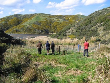 A few people lean on a fence and look out across Parangarahu Lakes