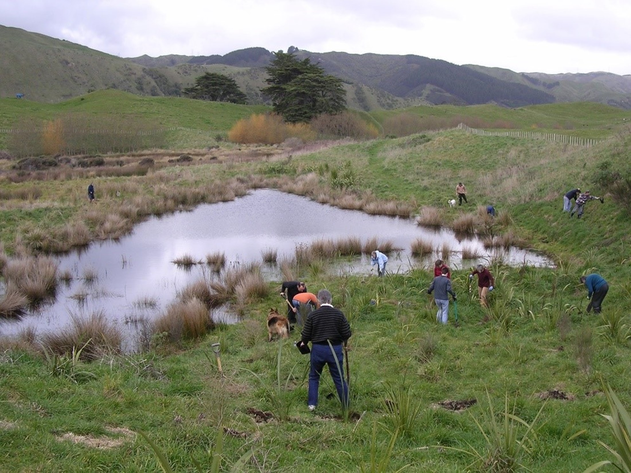 Planting day at Queen Elizabeth Park