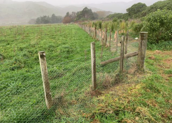 A rabbit proof fence in QEP