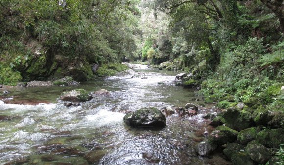 Western Hutt River