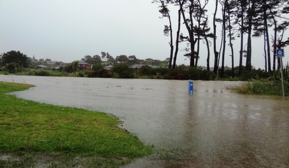 Kapiti FHM image 2 2