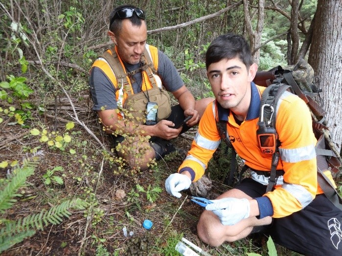 Jordan Munn and Andre Witehira undertaking Faecal DNA Sampling in Northland