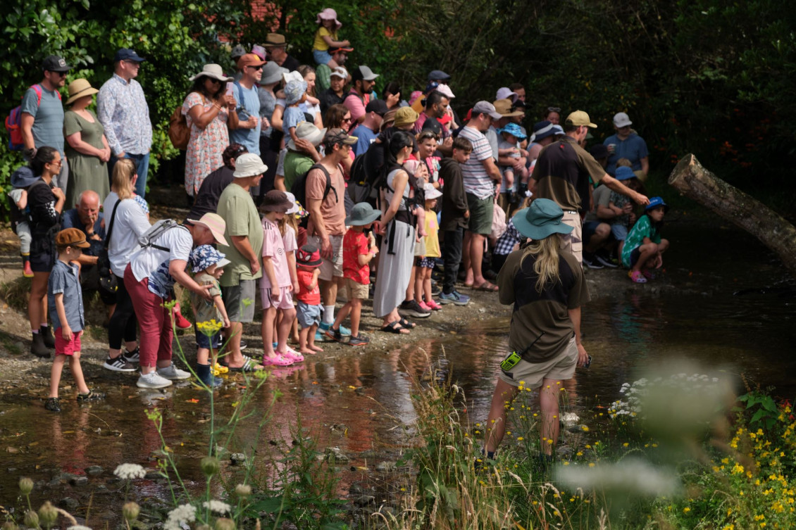 Families feeding eels