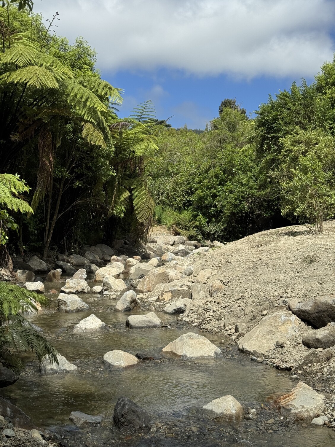 The rock ramp for fish passage in Wharemaukū Stream
