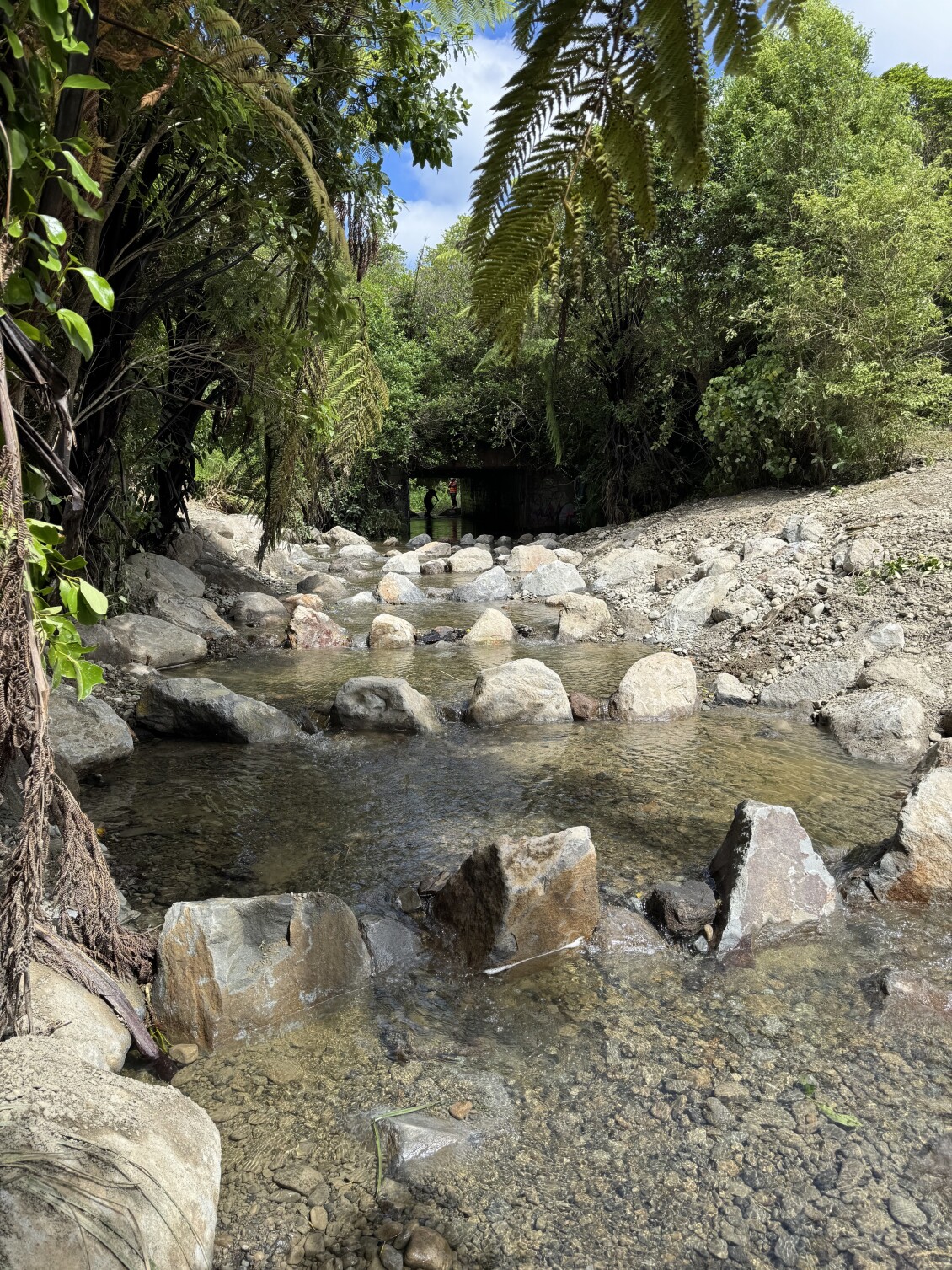 The rock ramp for fish passage in Wharemaukū Stream