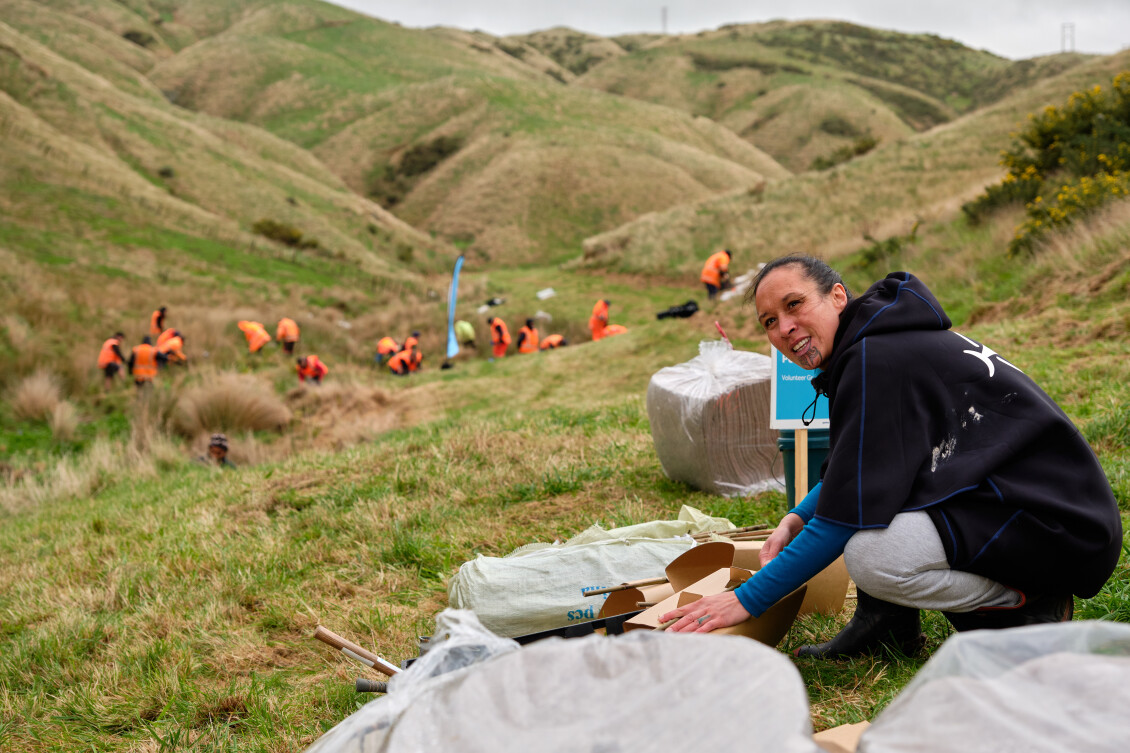 J002246 Belmont Porirua Planting Day 2023 23 1