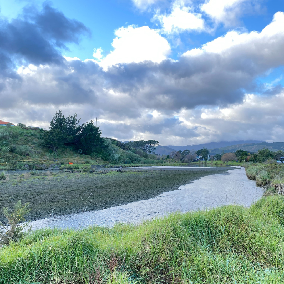 A view of the Waikanae River on a sunny day